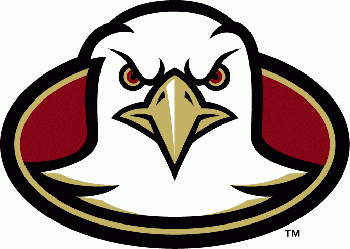 Boston College Eagles 2001-2004 Alternate Logo diy fabric transfer